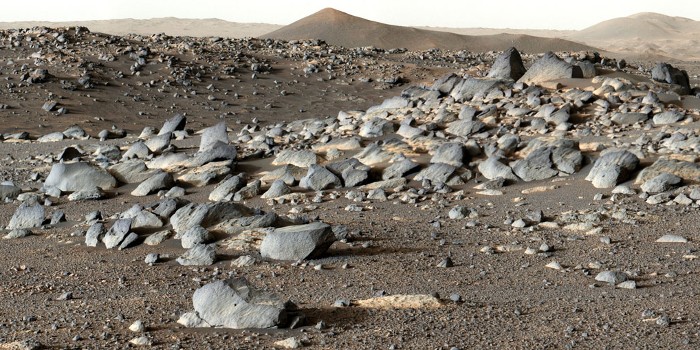 NASA-køretøjet Perseverance ser ud over bunden af det cirka én km dybe Jezero-krater på Mars, hvor der nu ved hjælp af bl.a. udstyr fra DTU Space er fundet spor efter lava, der har interageret med vand. (Foto: NASA)