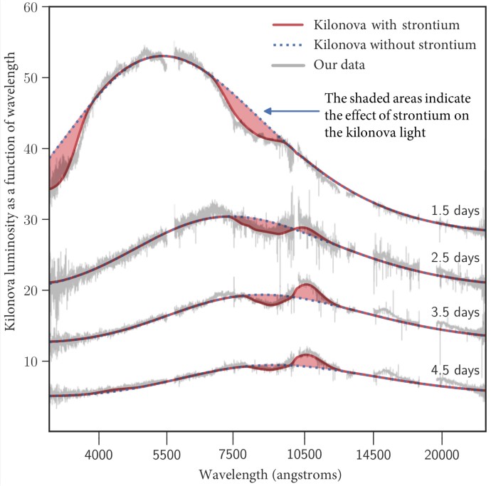Four spectra of a kilonova indicating the presence of strontium.