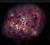 I synligt lys kunne en kæmpe, støvet og stjernedannende galakse som Mambo-9 se således ud, ifølge et bud fra en kunstner baseret på foreliggende information om den (Illustration: NRAO/AUI/NSF/B. Saxton).