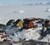 Rigsfællesskabets nye GIOS-samarbejde om kortlægning og monitorering af klimaforandringer og de afledte konsekvenser i Arktis skal blandt andet bidrage til at sikre, at byggeri i Grønland tilpasses fremtidens forhold. (Foto: DTU Space/R. Forsberg)